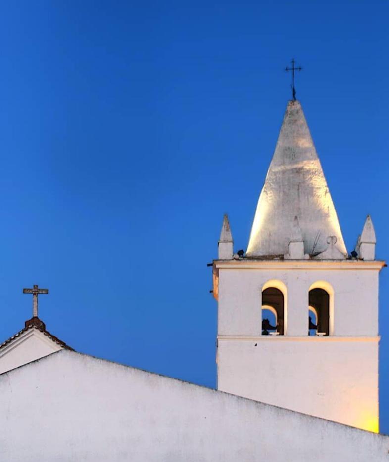 Nova Quinta Moderna Torramo Em Oliveiras, Campo De Laranjas, Na Nacional 2, Alentejo 13750 M2 Βίλα Torrão Εξωτερικό φωτογραφία