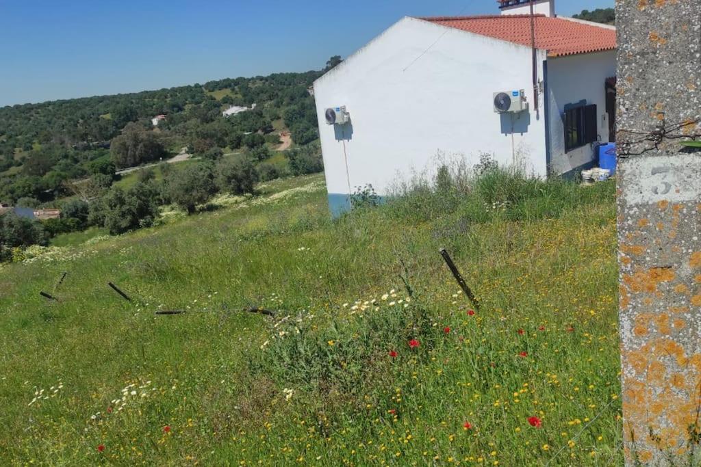 Nova Quinta Moderna Torramo Em Oliveiras, Campo De Laranjas, Na Nacional 2, Alentejo 13750 M2 Βίλα Torrão Εξωτερικό φωτογραφία