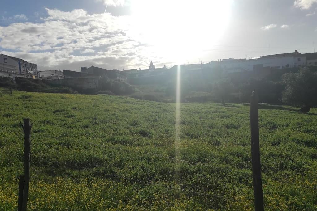 Nova Quinta Moderna Torramo Em Oliveiras, Campo De Laranjas, Na Nacional 2, Alentejo 13750 M2 Βίλα Torrão Εξωτερικό φωτογραφία
