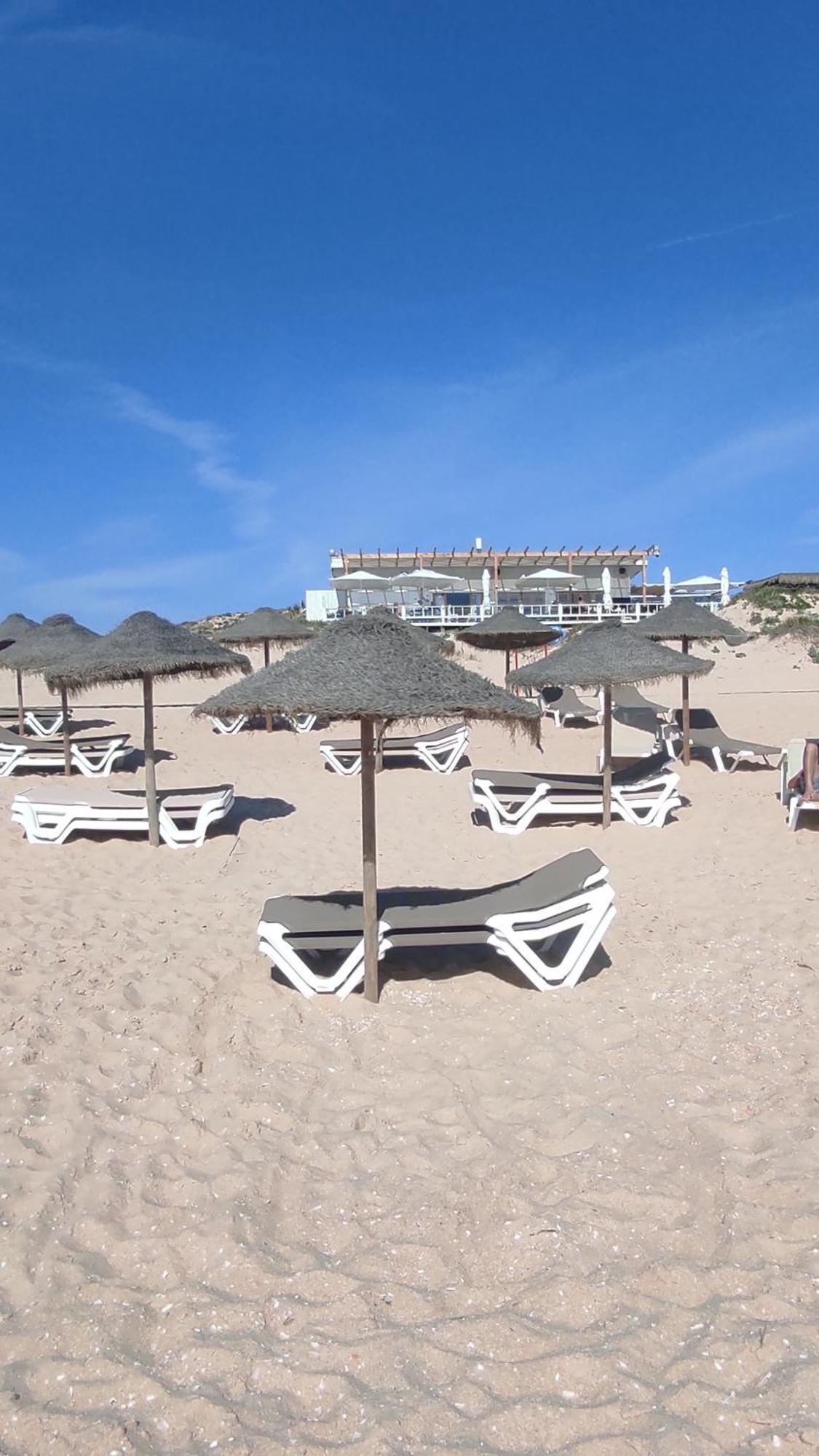 Nova Quinta Moderna Torramo Em Oliveiras, Campo De Laranjas, Na Nacional 2, Alentejo 13750 M2 Βίλα Torrão Εξωτερικό φωτογραφία