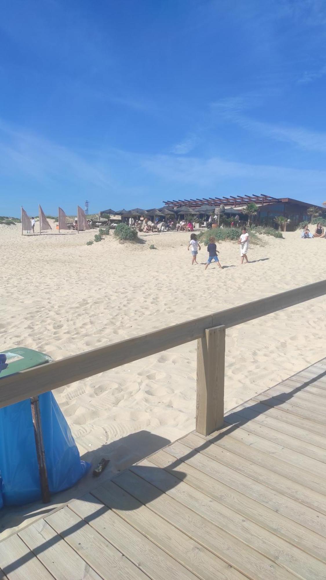 Nova Quinta Moderna Torramo Em Oliveiras, Campo De Laranjas, Na Nacional 2, Alentejo 13750 M2 Βίλα Torrão Δωμάτιο φωτογραφία