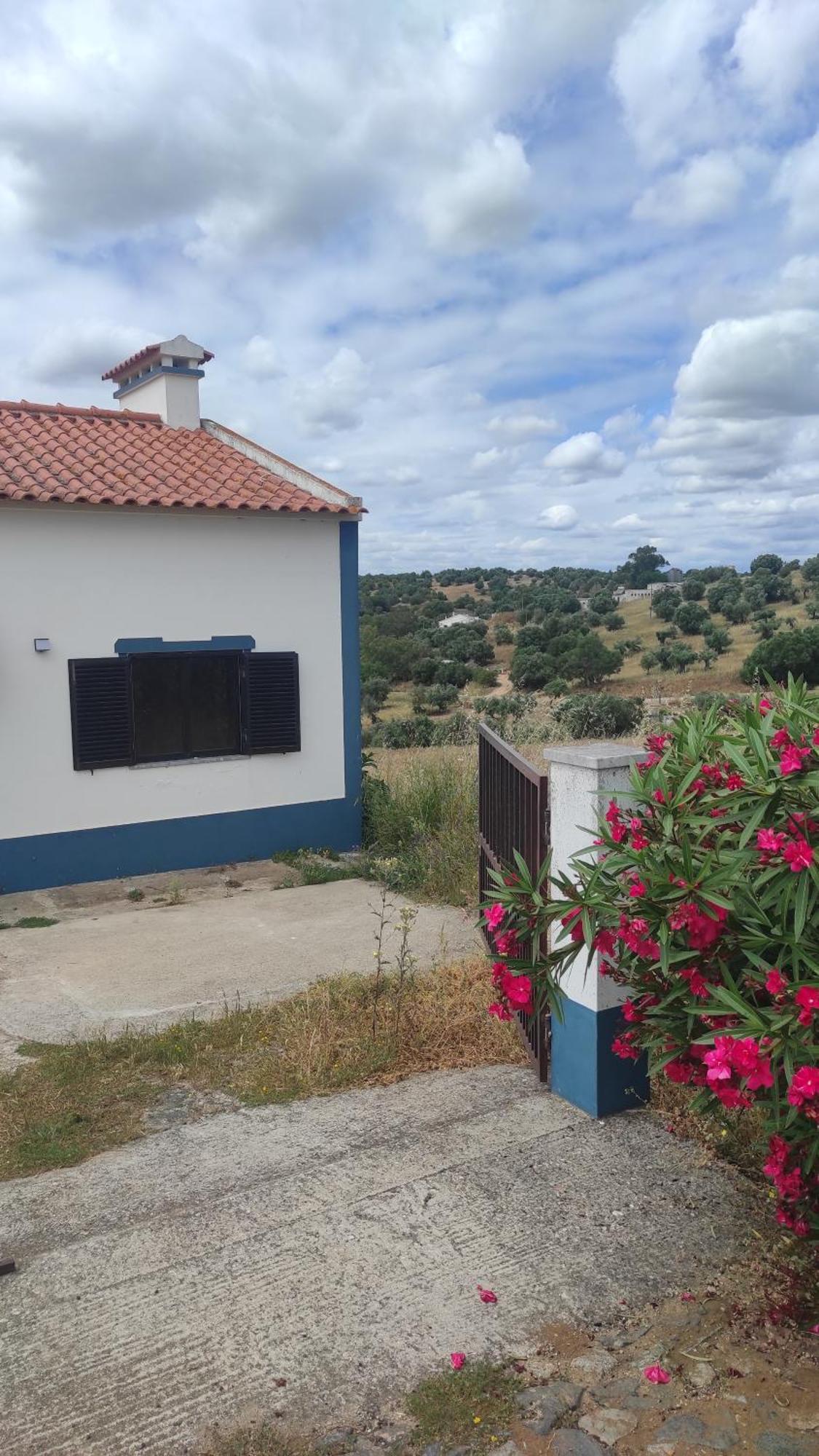 Nova Quinta Moderna Torramo Em Oliveiras, Campo De Laranjas, Na Nacional 2, Alentejo 13750 M2 Βίλα Torrão Εξωτερικό φωτογραφία