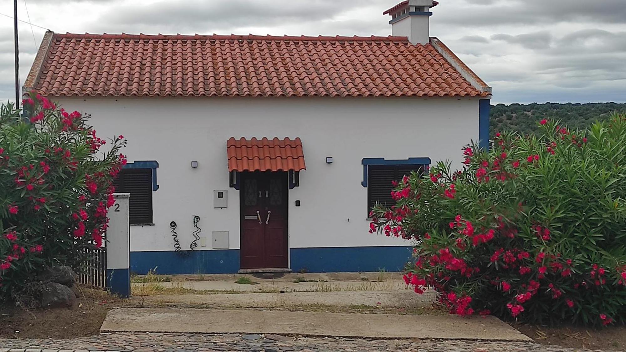 Nova Quinta Moderna Torramo Em Oliveiras, Campo De Laranjas, Na Nacional 2, Alentejo 13750 M2 Βίλα Torrão Εξωτερικό φωτογραφία