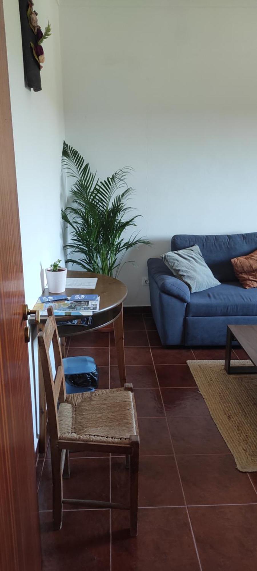 Nova Quinta Moderna Torramo Em Oliveiras, Campo De Laranjas, Na Nacional 2, Alentejo 13750 M2 Βίλα Torrão Εξωτερικό φωτογραφία