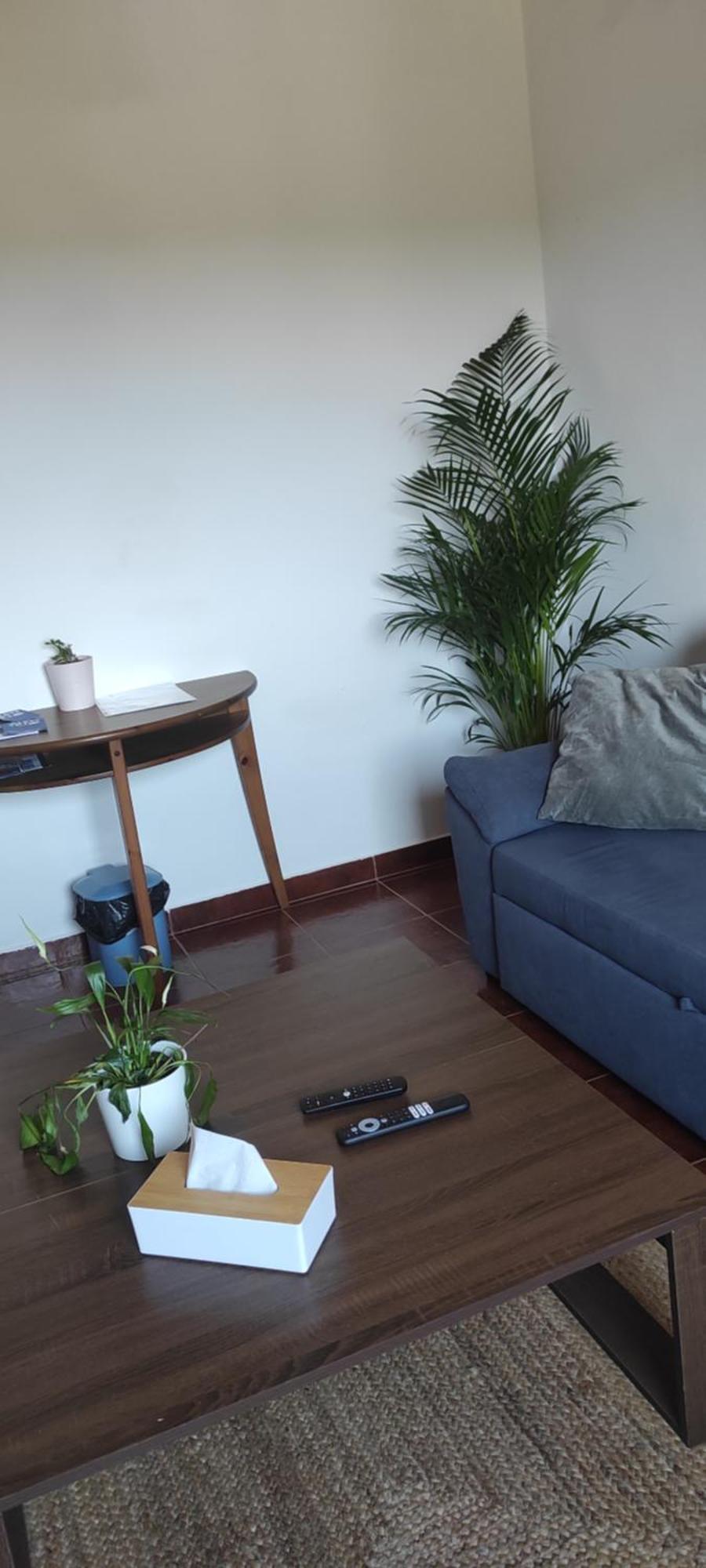 Nova Quinta Moderna Torramo Em Oliveiras, Campo De Laranjas, Na Nacional 2, Alentejo 13750 M2 Βίλα Torrão Εξωτερικό φωτογραφία